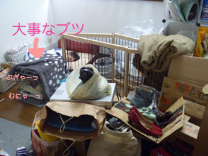f0238772_18333636.jpg