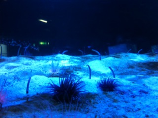 f0136776_122639.jpg