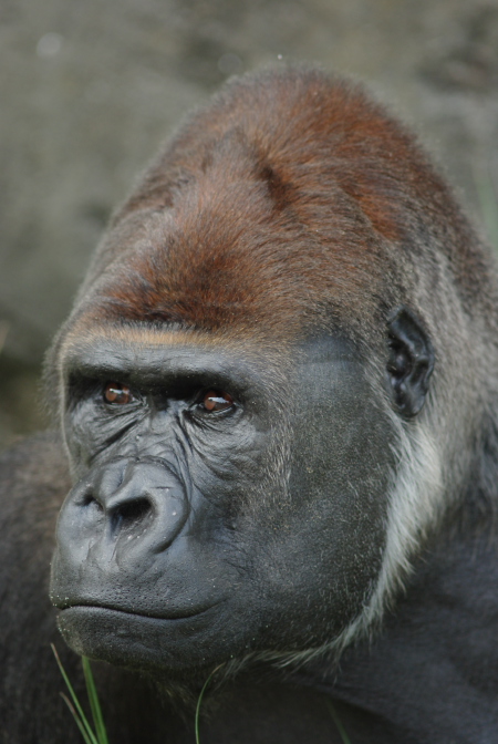 関東 動物園