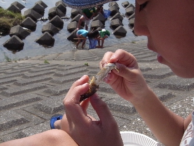 c0091679_06677.jpg