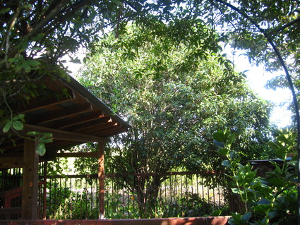 d0154685_2021092.jpg