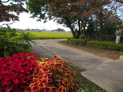 d0154685_20272992.jpg