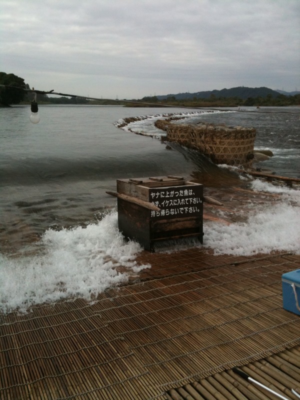 やな漁_b0162386_1138318.jpg