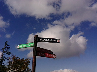 f0200795_2319968.jpg