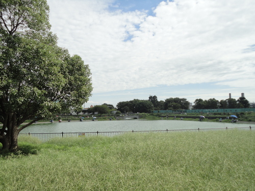 d0182697_14333610.jpg