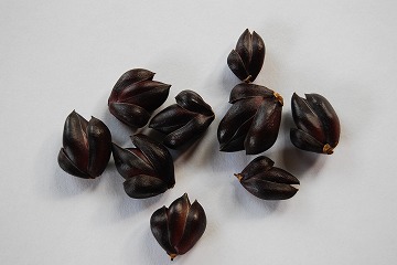 c0124100_0132331.jpg