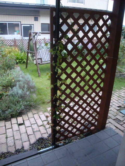 e0175905_1243666.jpg