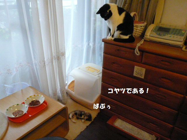 e0094407_14571010.jpg