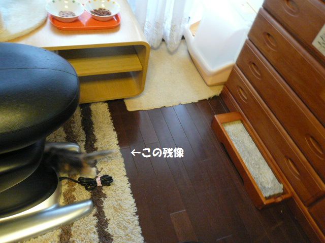 e0094407_1505671.jpg