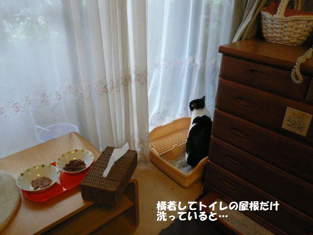 e0094407_15154219.jpg