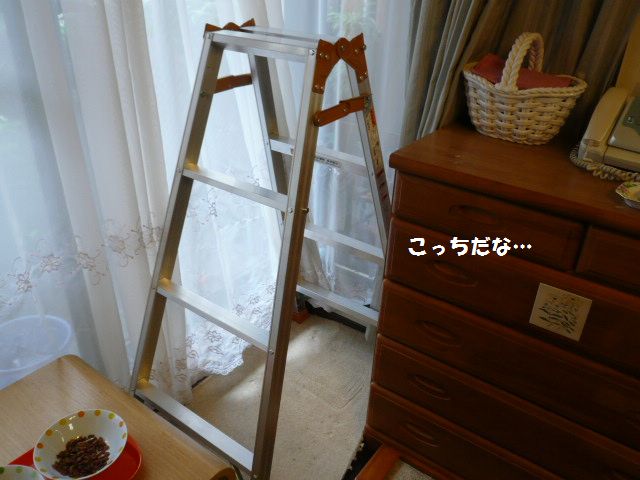e0094407_1555755.jpg
