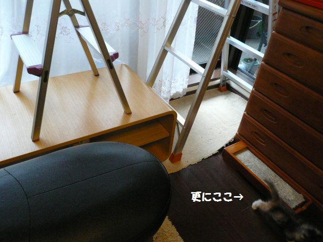e0094407_15583517.jpg