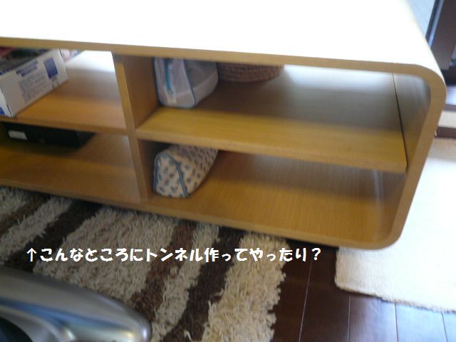 e0094407_16151179.jpg