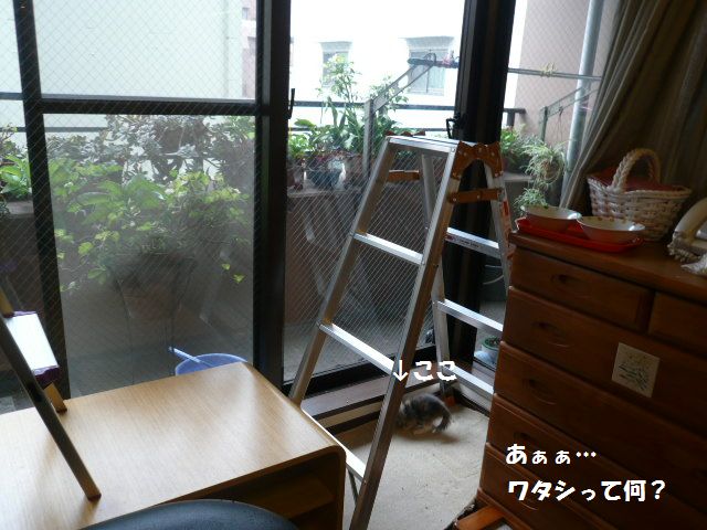 e0094407_1621315.jpg