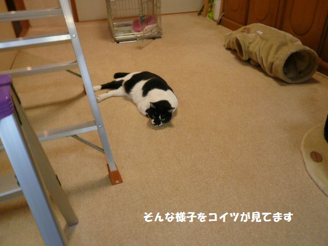 e0094407_1623164.jpg