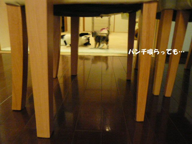 e0094407_16501065.jpg