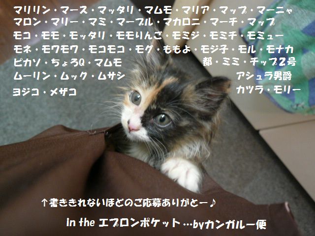 e0094407_17301062.jpg