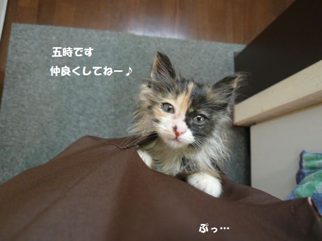 e0094407_1732334.jpg