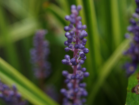 a0041508_20343755.jpg