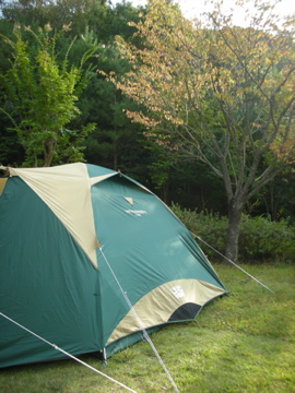 c0145209_19532145.jpg