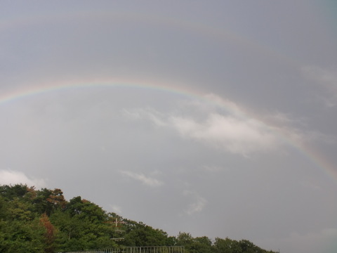 W RAINBOW!!_f0206212_0325942.jpg