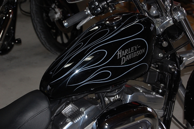 SPORTSTER_a0095515_21195095.jpg