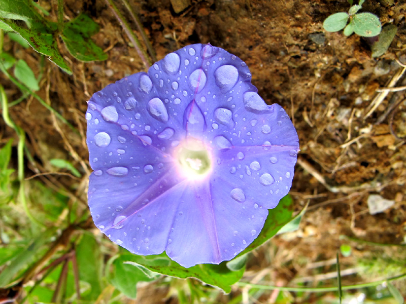 泊まったのは全北大学ってぇ芸術系のキャンパス内の！_a0101715_19155247.jpg