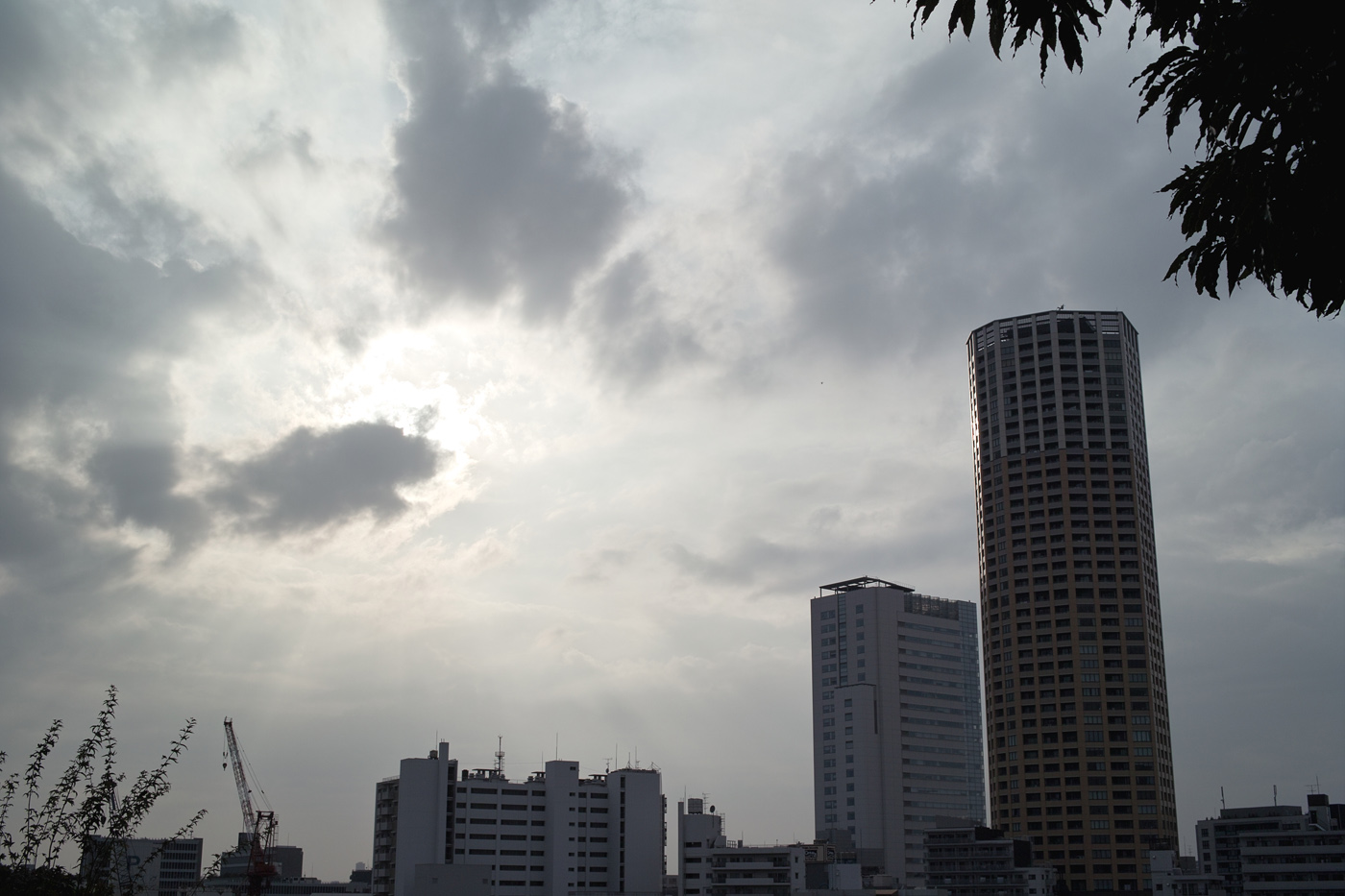 c0213117_1133773.jpg