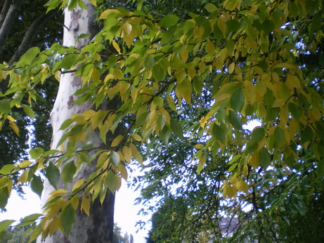 c0124619_321728.jpg