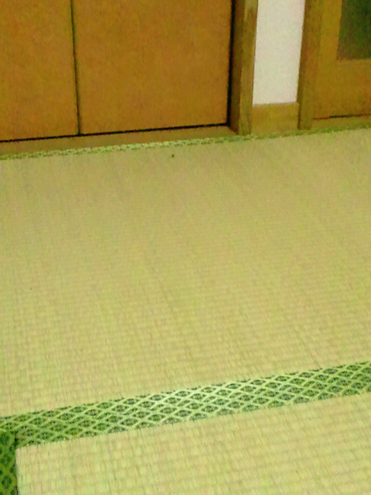 d0150722_0365828.jpg