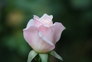 f0170524_16573120.jpg
