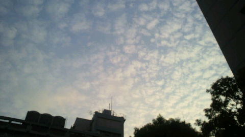 a0120325_2356597.jpg