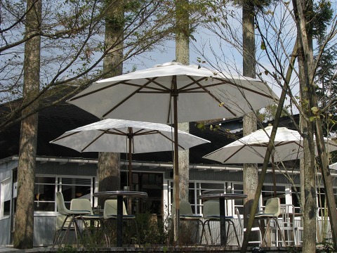 e0202031_137078.jpg
