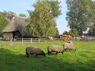 f0224632_2021522.jpg