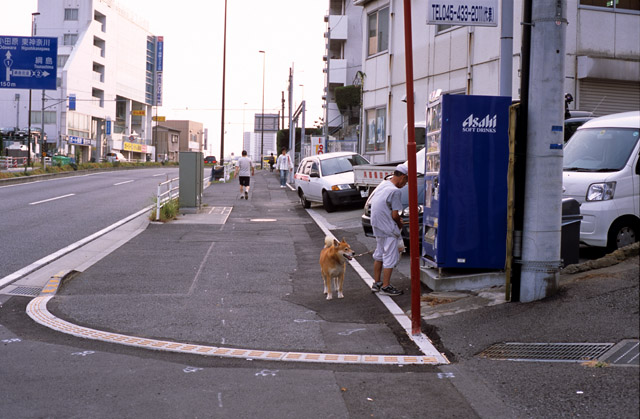 第二京浜国道（その３）_e0109735_20573394.jpg