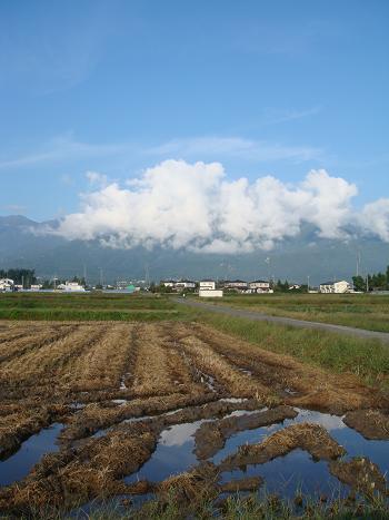 a0014840_2239501.jpg