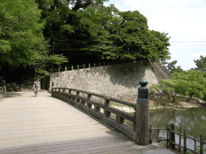 b0209142_12492156.gif
