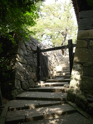 b0209142_1251238.gif