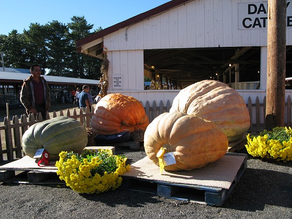 Cumberland County Fair　〜１〜_c0135045_10154429.jpg