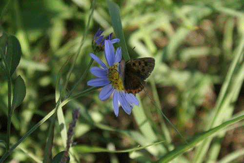 f0031546_22311212.gif