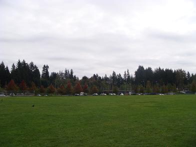 a0088749_4303281.jpg