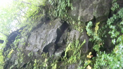 b0204351_15192817.jpg