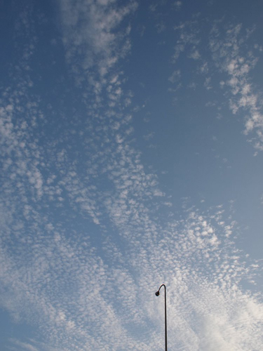 f0216353_23103636.jpg