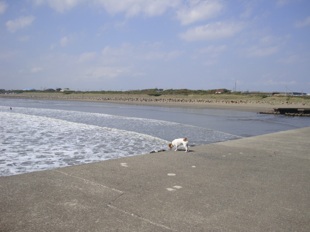 d0143957_1430269.jpg