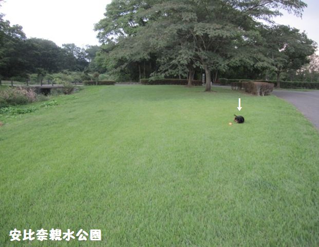 c0134862_21522455.jpg