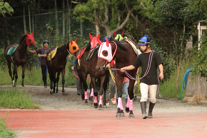 2010年10月2日（土） 高知競馬 5R 中四国連携競馬 鞆の浦シリーズ　第一戦C その1_a0077663_20143320.jpg