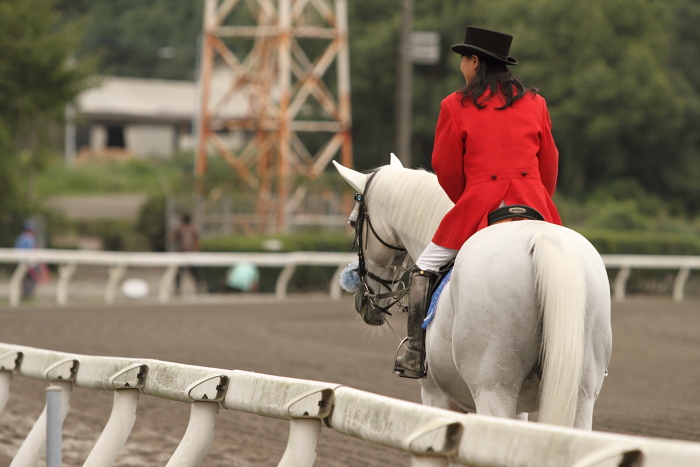 2010年10月2日（土） 高知競馬 5R 中四国連携競馬 鞆の浦シリーズ　第一戦C その1_a0077663_20152751.jpg