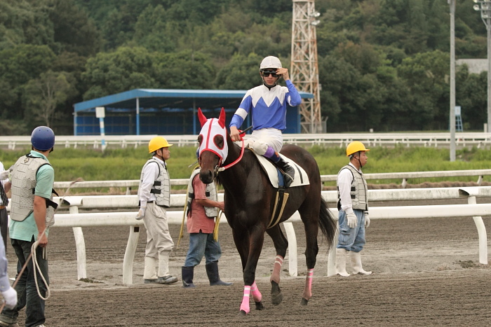 2010年10月2日（土） 高知競馬 5R 中四国連携競馬 鞆の浦シリーズ　第一戦C その1_a0077663_20184646.jpg