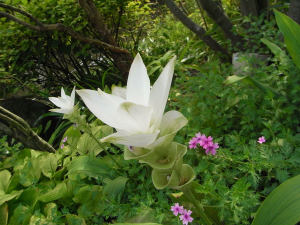 b0194267_22104824.jpg