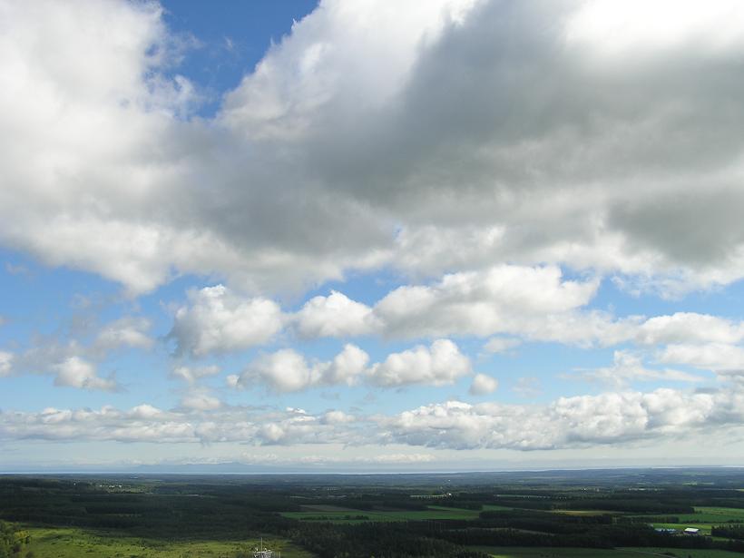 e0205878_153102.jpg